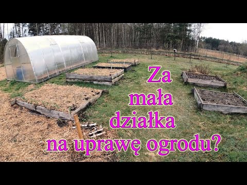 Za mała działka na ogród? Ile miejsca potrzeba do uprawy warzyw i owoców? Jak duży jest Szumilas?