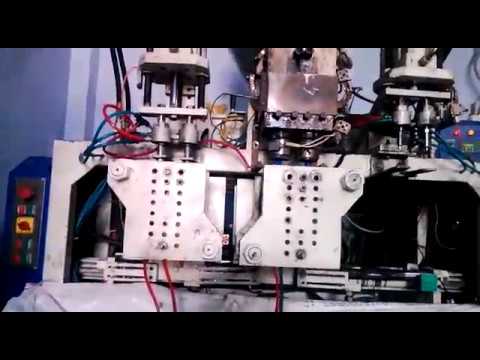 250 ML Automatic Blow Molding Machine