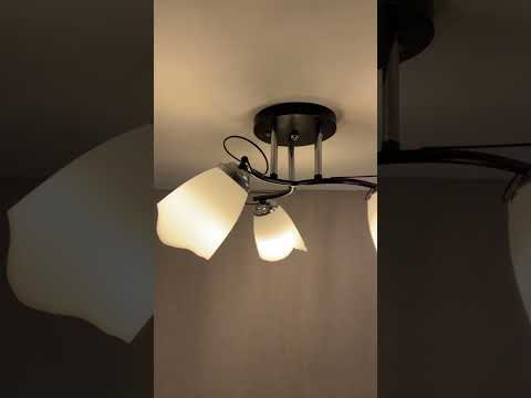 фото светильник потолочный люстра 1009-3 черный + хром 0