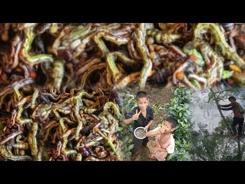 This man climb trees better than monkey -The real life Tarzan