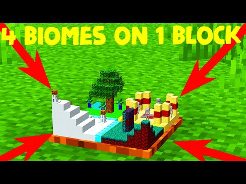 Master the Ultimate 4 Biome Block