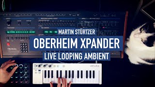 Video thumbnail for Oberheim Xpander Ambient Live Looping by Martin Stürtzer