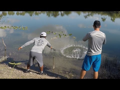 Catching Exotic Fish for Bass Bait | Monster Mike Fishing