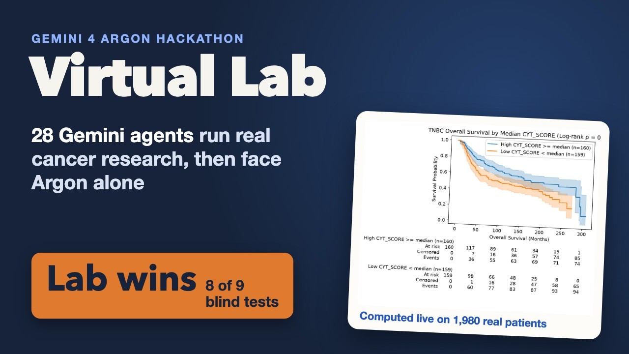 Virtual Lab project preview