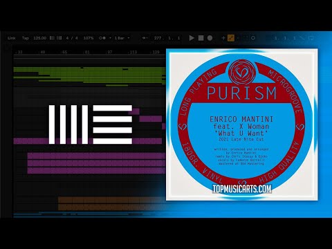 Enrico Mantini feat. X Woman - What U Want (Chris Stussy & Djoko Remix) (Ableton Remake)