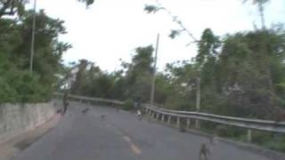 เขาสามมุข 2 กย 52 (แวะดูลิง)