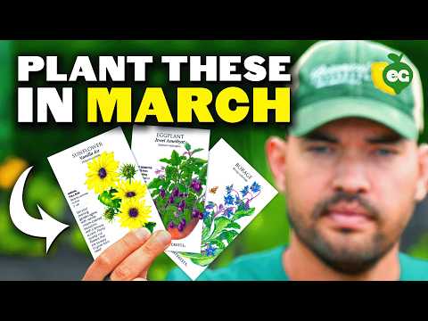 March Planting Guide: 16 Essential Crops for Early Spring