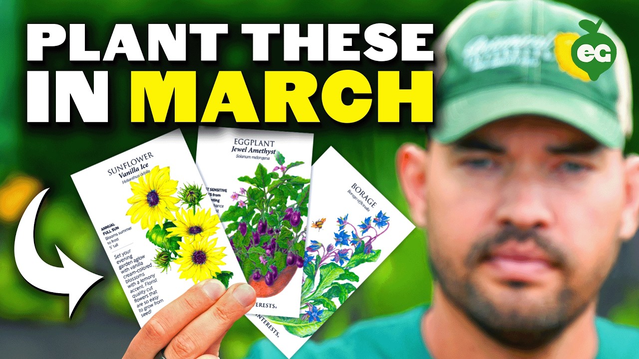 16 Crops to Plant in March ASAP!
