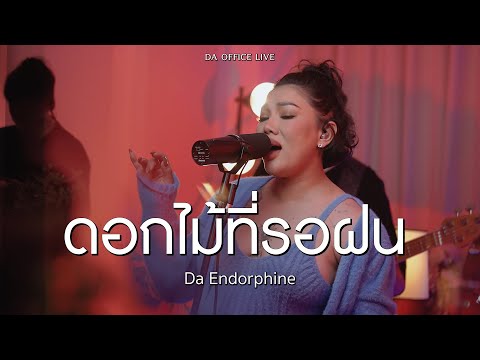Da Endorphine - ดอกไม้ที่รอฝน (Da Office Live)