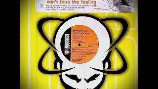 Geraldine Hunt + Prince Quick Mix ‎– Can't Fake The Feeling (Quick's Amped Up Discopass)