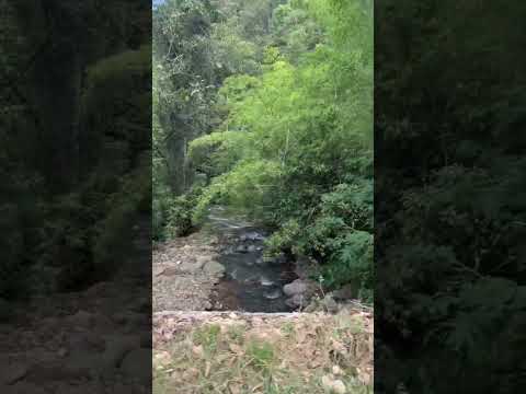 Vereda el Castel Aipe Huila #colombia #viajes #travesia #travel #viajeinolvidable #vistashermosas