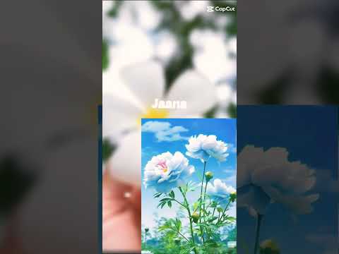 Nasrin#cute flowers shorts😘💜