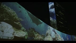 Miniatura do vídeo