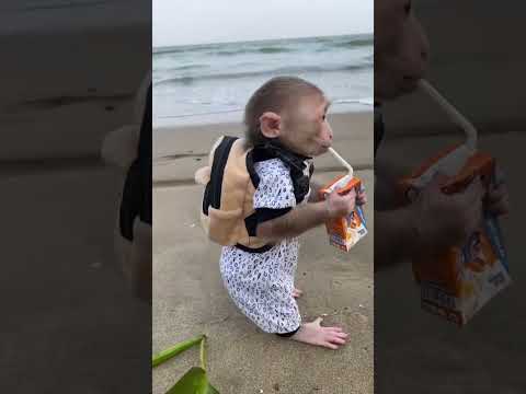 #beach #nature #sunset #arnab #travel