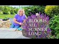 How To Prune Salvia To Get Continuous Blooms Learned This By Accident My Selective Pruning Method