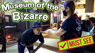 Museum of the Bizarre - Must See Oddities Collection - Wilmington, North Carolina