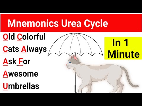 Mnemonic Urea Cycle | Urea Cycle Mnemonic USMLE | Urea Cycle Mnemonic | Urea Cycle trick |