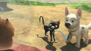 Bolt Music Video - Animal (Kidz Bop Kids)