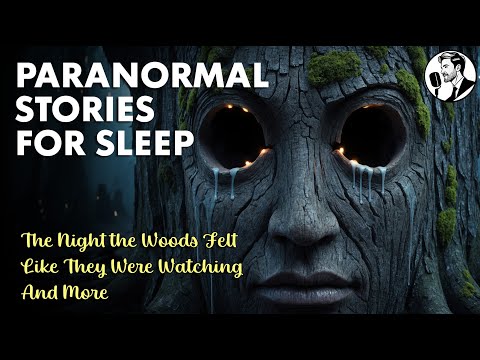 Paranormal Stories For Sleep | 6 Hours Vol 7