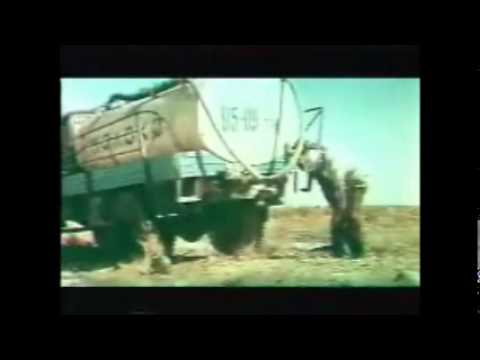 Meniň Dostum Meleguş 1/5