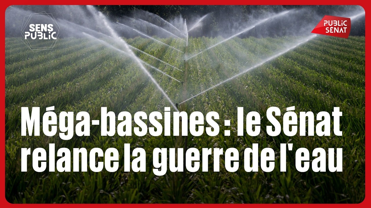 Illustration: Eau : le Sénat double le stockage agricole, 20% de l'eau potable fuit dans les réseaux