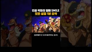 인공 악마의 열매 SMILE 완벽분석
