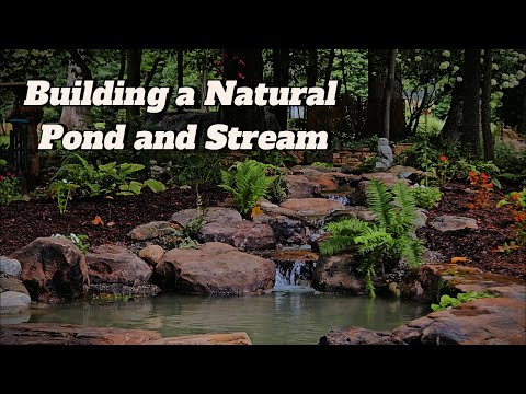 Building a Natural Woodland Pond And Waterfall!