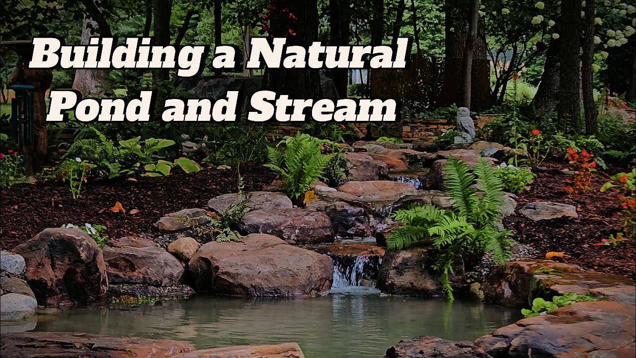 Building a Natural Woodland Pond And Waterfall!