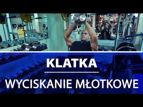 Początkujących kulturystów wideo Nowa hala kulturystyka
