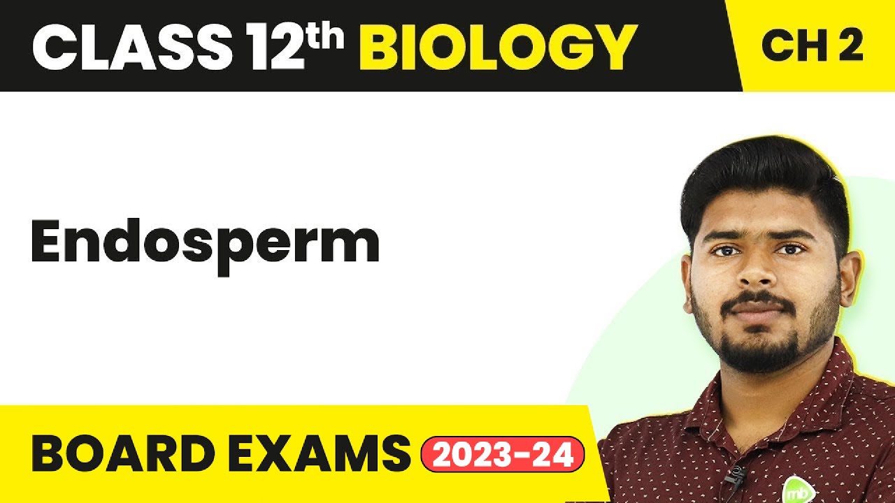 Endosperm - Sexual Reproduction in Flowering Plants | Class 12 Biology (2022-23)