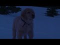 My Reaction To The Aurora Borealis In Snow Buddies