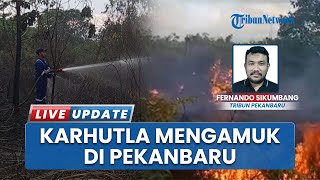 Ancaman Karhutla saat Penghujan Lahap 11 Hektare Lahan di Pekanbaru, BPBD Siagakan Personel 24 Jam