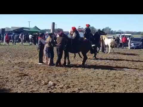 Niko  rodríguez vs ñoqui