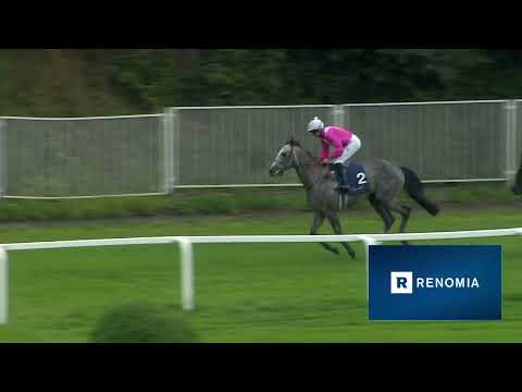 Dostihy Chuchle Arena Praha 23. 9. 2023 - 3. dostih - 87. Arqana Gerschův memoriál