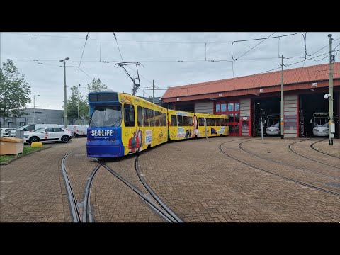 HTM MAT-rit 71 Remise Zichtenburg - Remise Lijsterbes | BN GTL8 3105 Sea Life / Legoland | 2024
