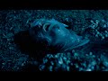 King Gizzard The Lizard Wizard Grow Wings And Fly Official Video