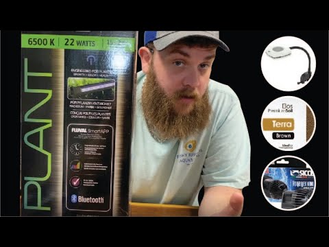 BEGINNER'S GUIDE TO AQUATIC PLANTS PT. 2 | FISHY TIPS