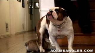 Adam sandler & Meatball 03