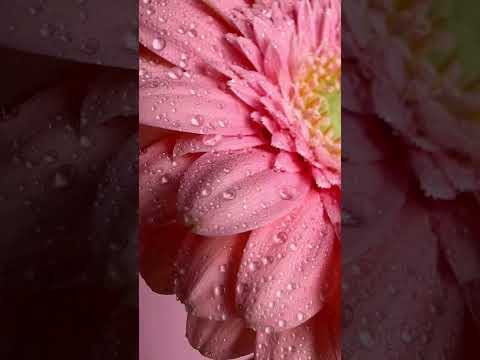 Магнієва олія/Magnesium oil Бішофіт Полтавський