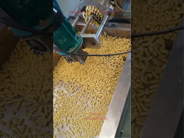 Pasta Extruder Machine - Pasta Processing Plant Manufacturer from Noida