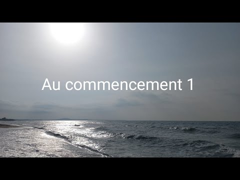 Au commencement 1: Chaque situation est pour affirmer SA Volonté et pour mourir à une idolâtrie...