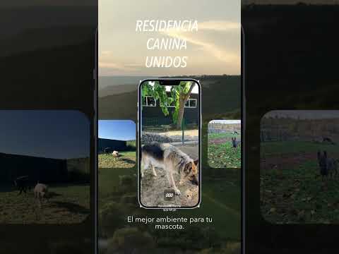 #residenciacanina #dog #dogs #perro #perros #valencia #alzira #carcaixent #algemesi #navarres