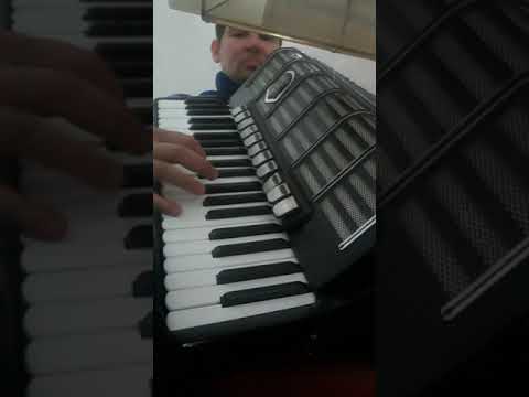 Virtuozna harmonika-Ljubisa Pavkovic