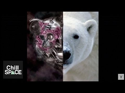 Whitebear - Intangible