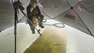 Sight Fishing For A Manitoba Master Angler
