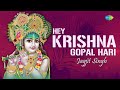 Hey Krishna Gopal Hari With Lyrics हे कृष्णा गोपाल हरी Jagjit Singh 