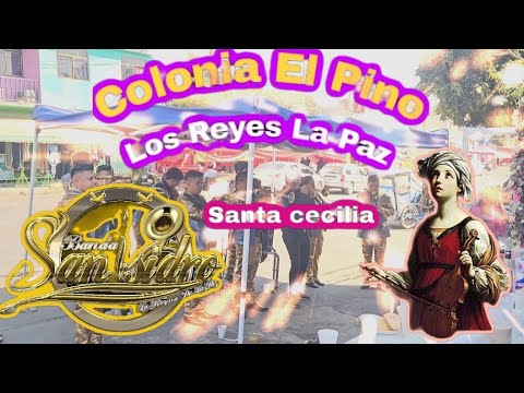 Colonia El Pino Los Reyes La paz  Banda San Isidro La Reyna De La Paz 