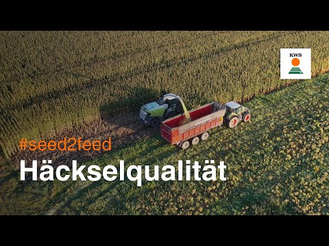 Häckselqualität im Mais