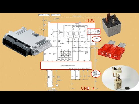 Diagrama Bomba de Gasolina (Cualquier Auto) Explicado