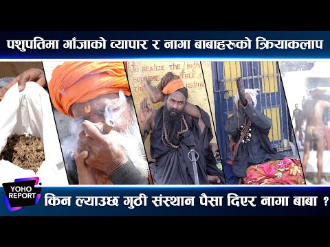 महाशिवरात्रिमा पशुपतिको फरक पाटो : किन हुन्छ गाँजा र नागा बाबाको चर्चा